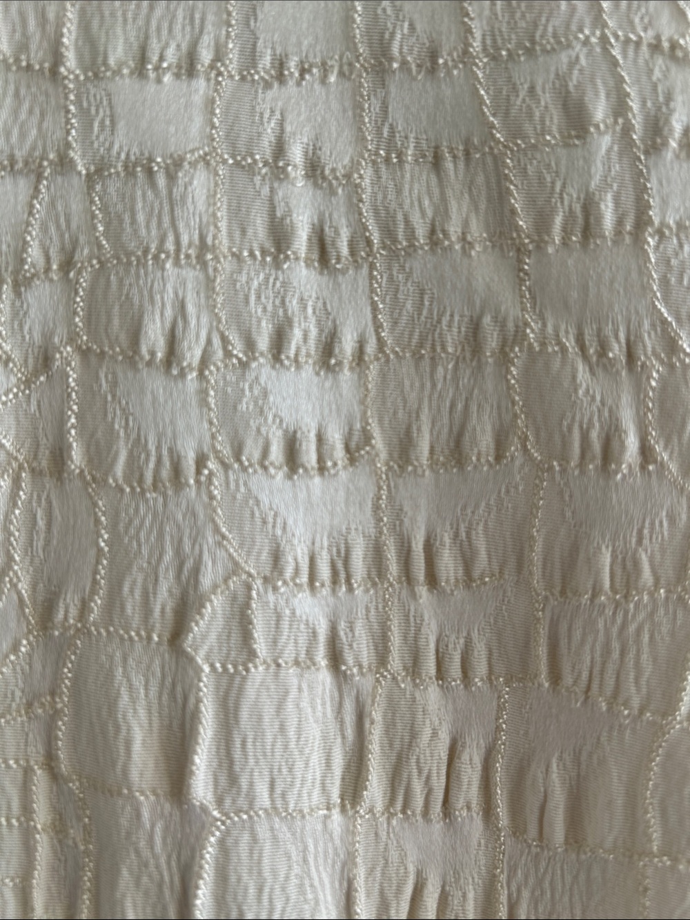 Cache Cream Croc-Embossed Pants - Picture 2 of 8